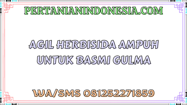 Agil Herbisida Ampuh Untuk Basmi Gulma